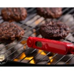 Meat thermometer recipe